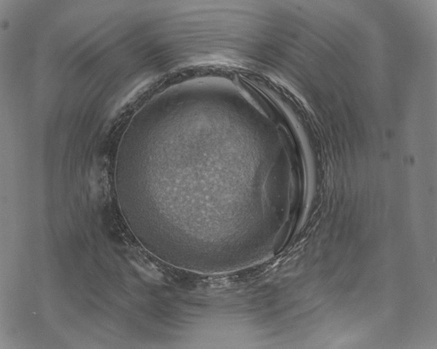 X0000075900968200609151407