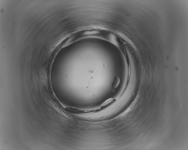 X0000075900969200609151407