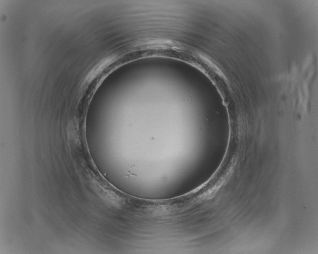 X0000075900970200609151407