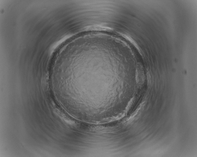 X0000075900971200609151407