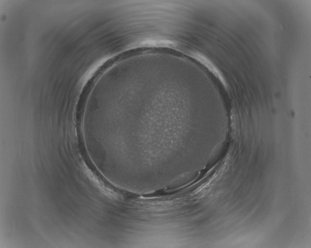 X0000075900972200609151407