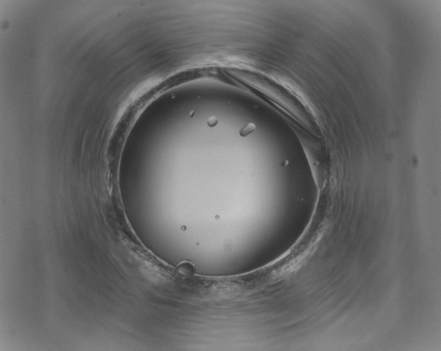 X0000075900974200609151407