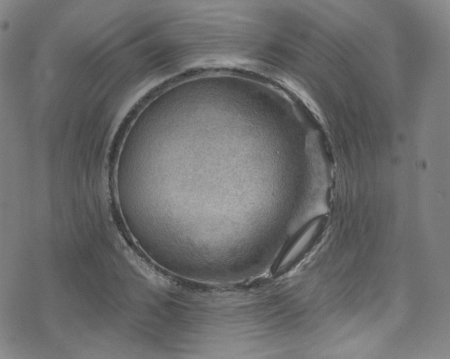 X0000075900976200609151407