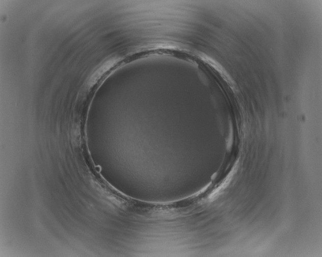 X0000075900977200609151407