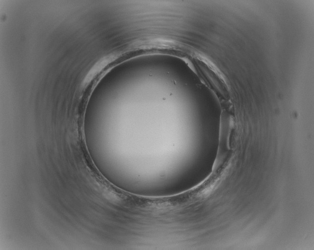 X0000075900978200609151407