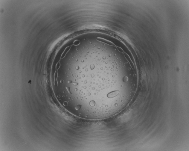 X0000075900979200609151407