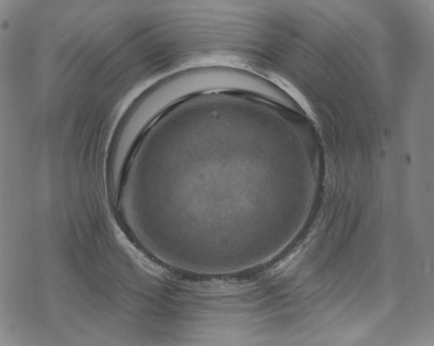 X0000075900980200609151407