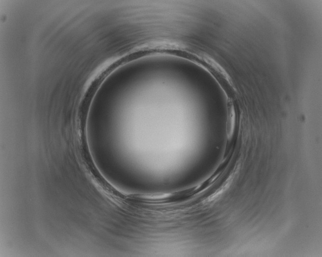 X0000075900981200609151407