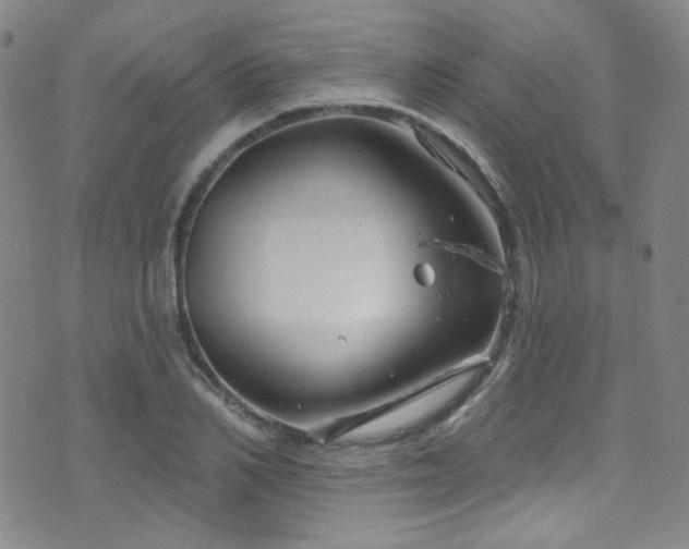 X0000075900982200609151407