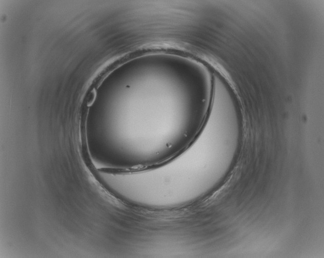 X0000075900984200609151407