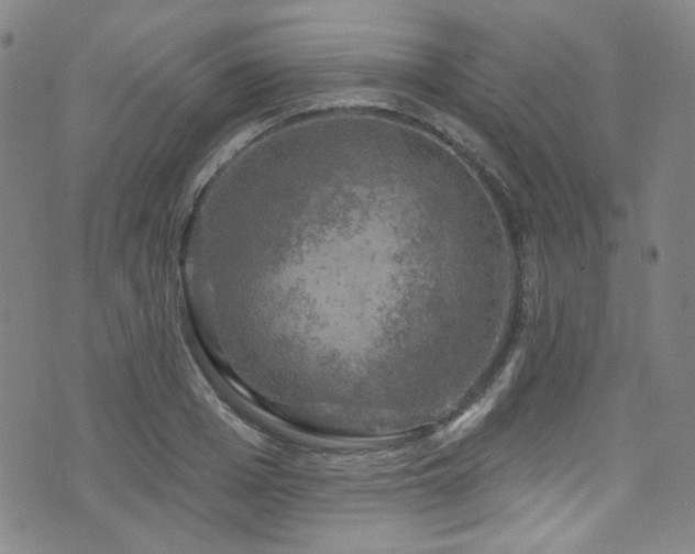 X0000075900985200609151407