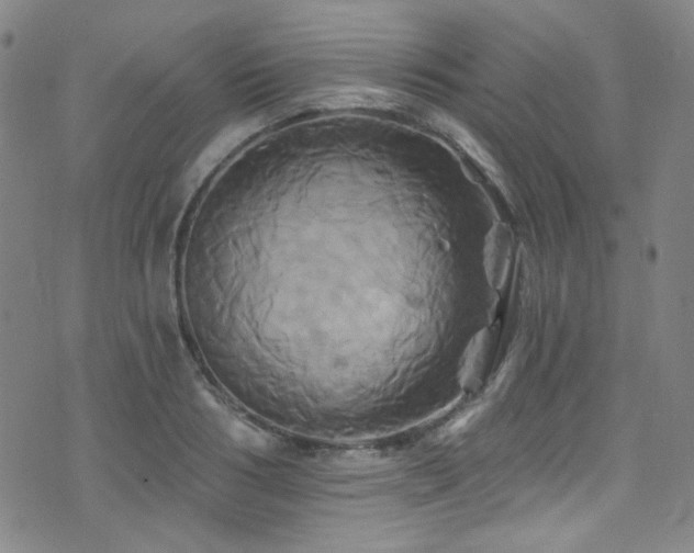 X0000075900986200609151407