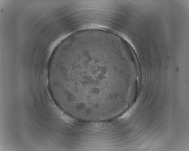 X0000075900987200609151407