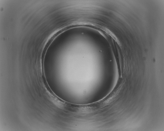 X0000075900988200609151407