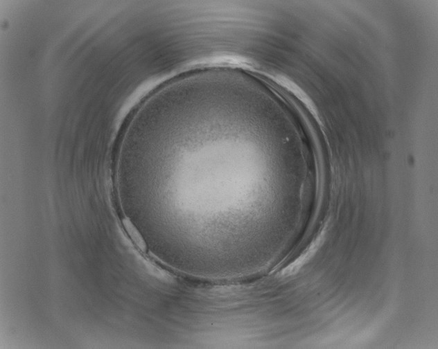 X0000075900989200609151407