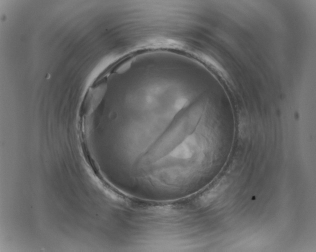 X0000075900990200609151407