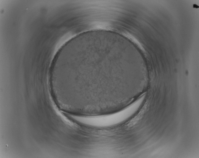 X0000075900991200609151407