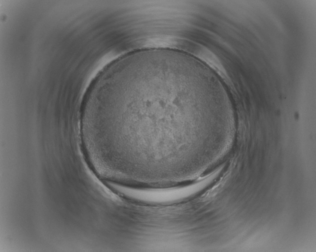 X0000075900992200609151407