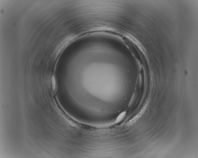 X0000075900993200609151407