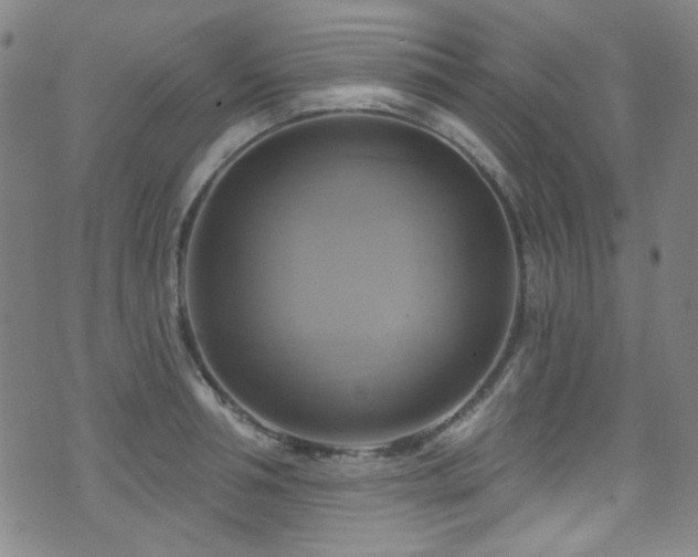 X0000075900994200609151407