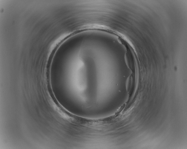 X0000075900995200609151407