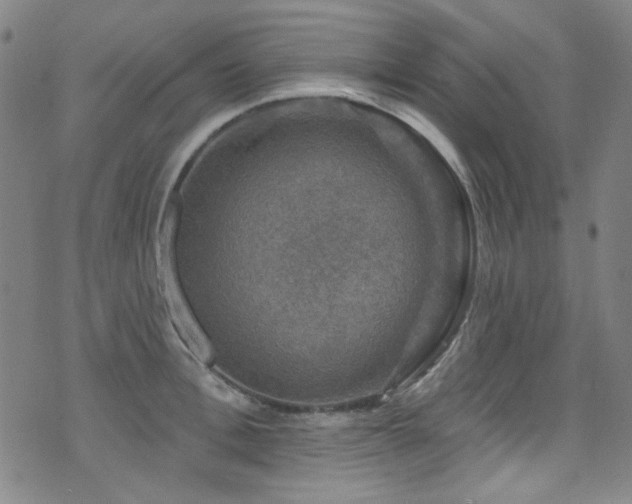 X0000075900996200609151407