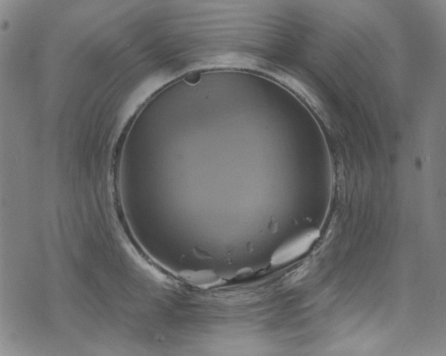 X0000075900998200609151407