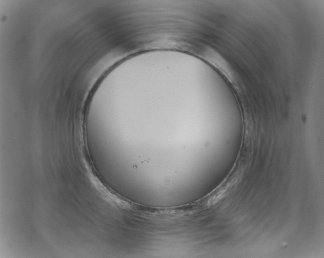 X0000075901000200609151407