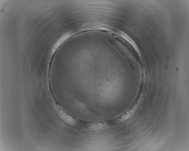 X0000075901002200609151407