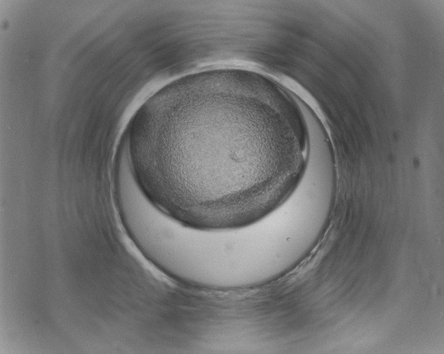 X0000075901005200609151406