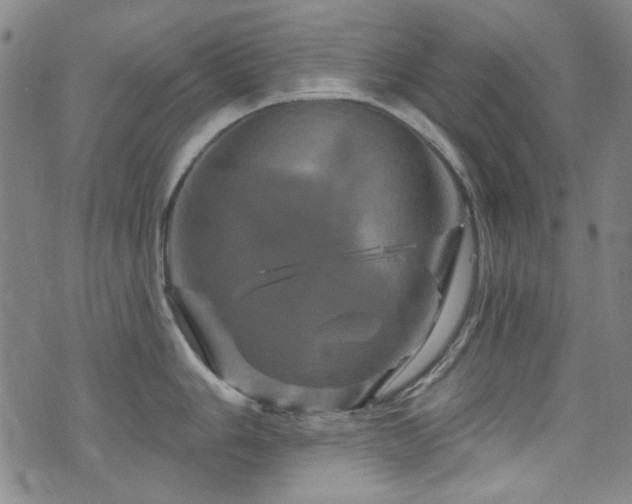 X0000075901006200609151406