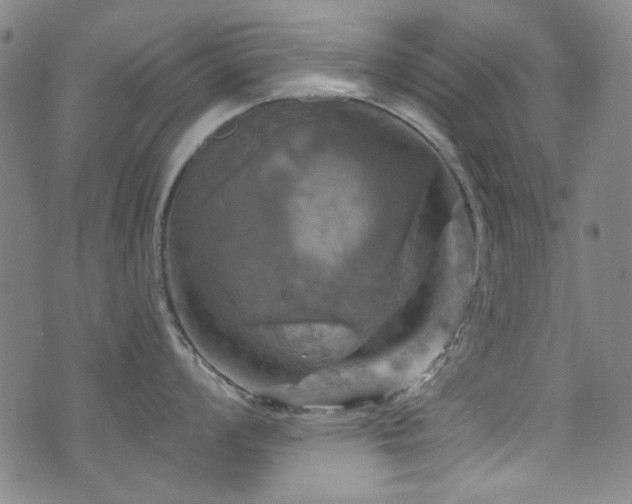 X0000075901008200609151406