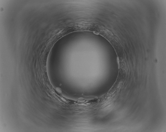 X0000075901009200609151406