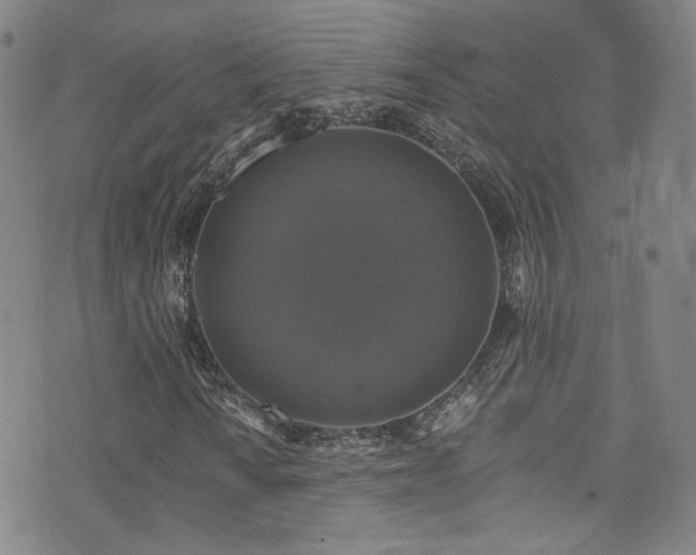 X0000075901010200609151406