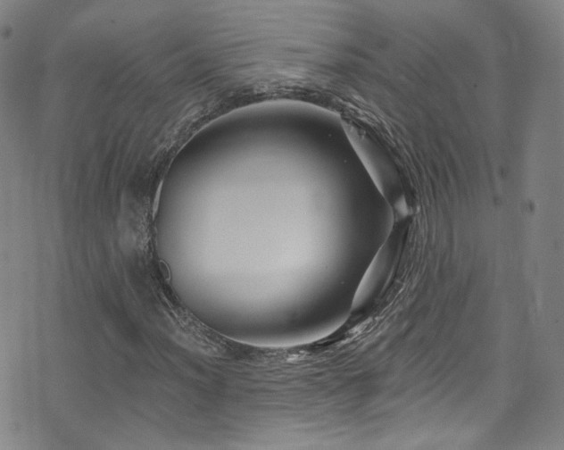 X0000075901012200609151406