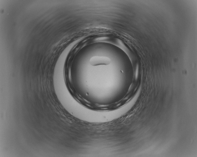 X0000075901014200609151406