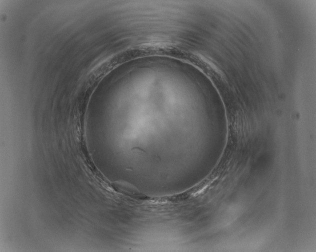 X0000075901015200609151406