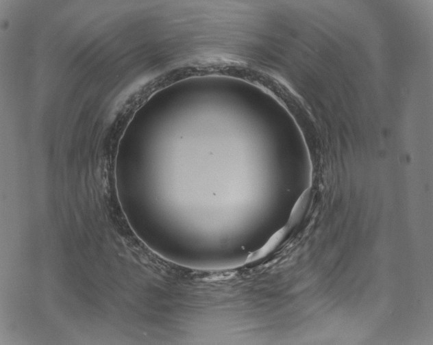 X0000075901016200609151406