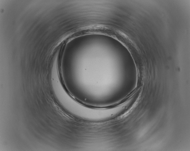 X0000075901017200609151406