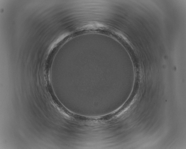 X0000075901018200609151406