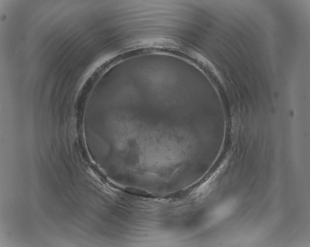 X0000075901019200609151406