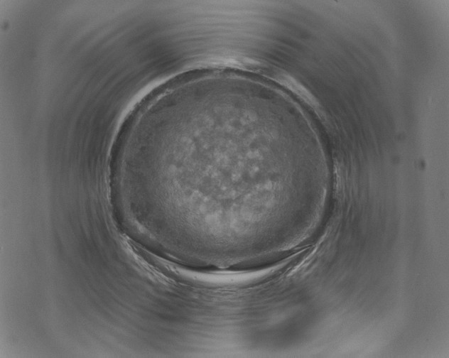 X0000075901020200609151406