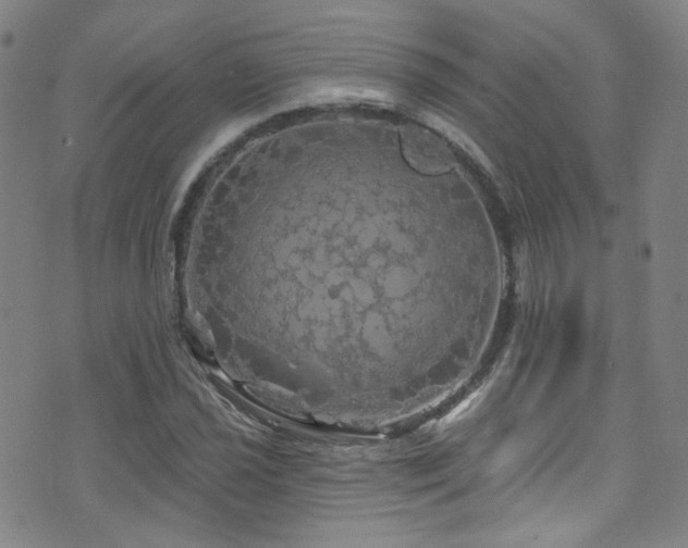 X0000075901021200609151406