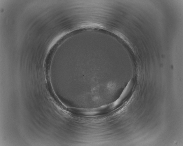 X0000075901022200609151406