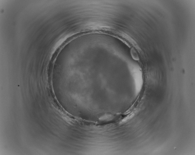 X0000075901023200609151406