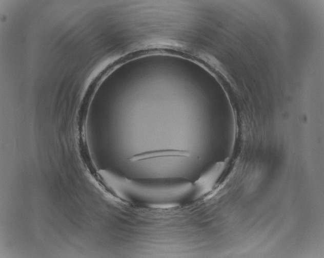 X0000075901024200609151406