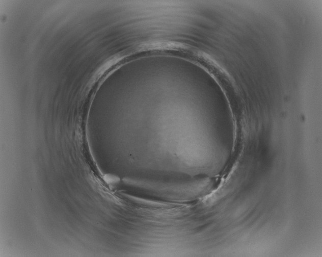 X0000075901025200609151406