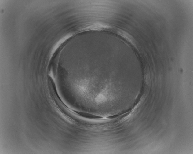 X0000075901026200609151406