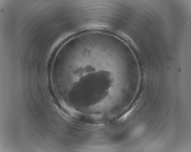 X0000075901027200609151406