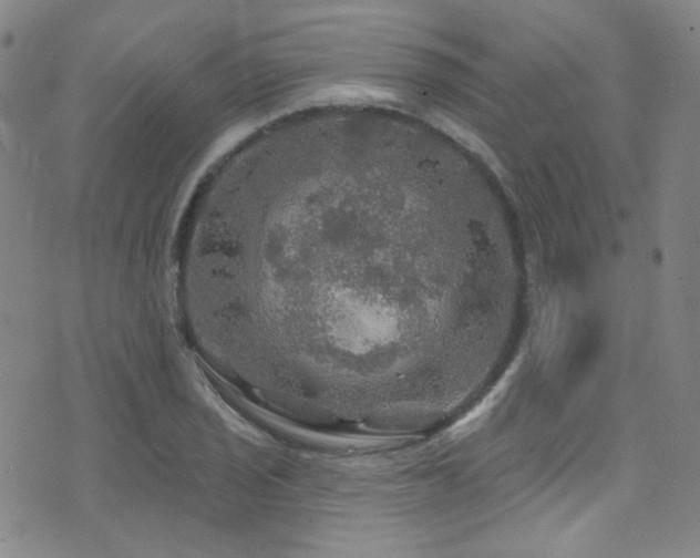 X0000075901029200609151406